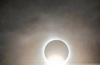 The Little Issues Publication #412 – Life, laughter, and many nice meals!